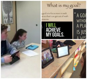 goal-setting for PLPs