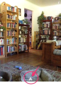 Meet Aurasma: an augmented reality app for the classroom