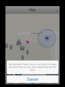 Phelan Fretz, Echo Center director, used ARIS' Notebook feature to add this commentary about one of the frogs in the Frogworld exhibit. Players can leave text, audio, image or video notes for all other players to read.