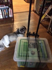 Build your own iPad charging cart out of office supplies