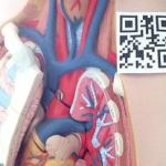 5 off-beat ways to use QR codes in the classroom