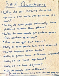 the problem with genius hour