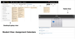 Using Schoology for differentiated instruction