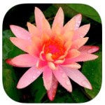 Earth Day lessons with iPads
