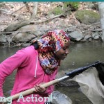 interpreting watershed science data