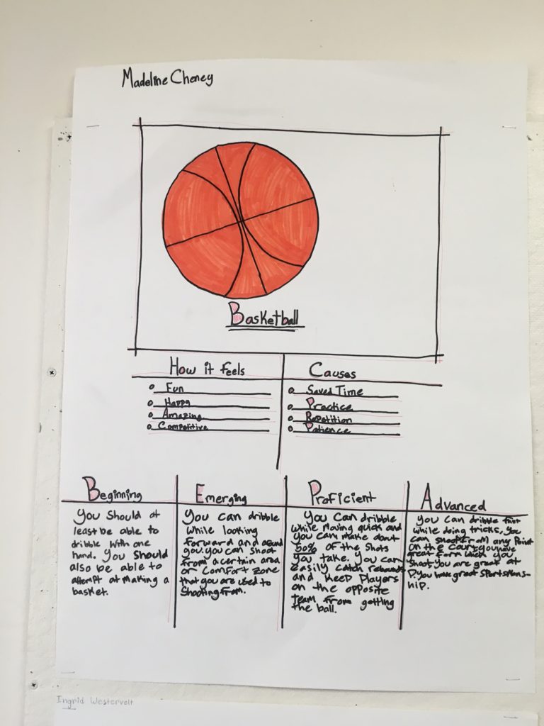 visualization exercises for proficiency-based learning