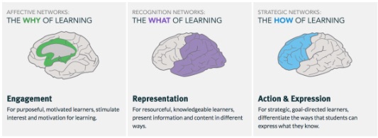 audiobooks for Universal Design for Learning