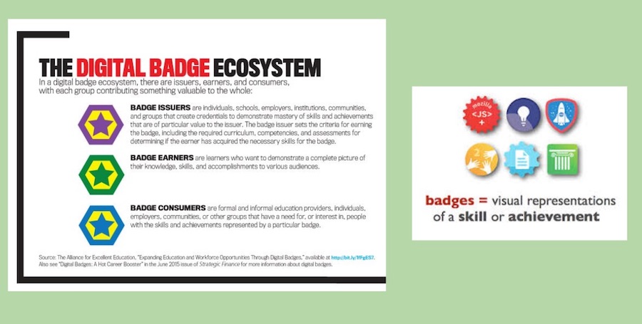 digital badges for flexible pathways