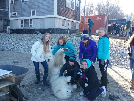 student-made chicken coops