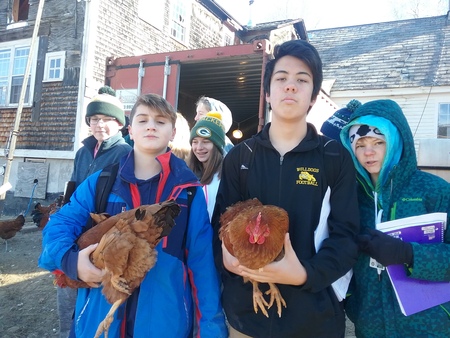 student-made chicken coops