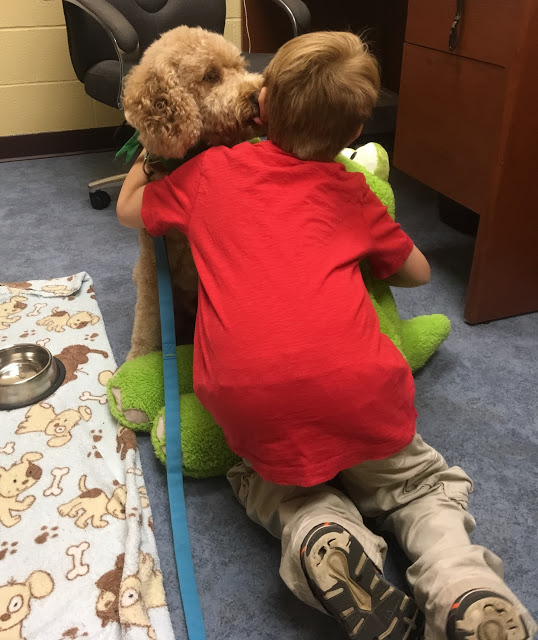 therapy dogs of Vermont