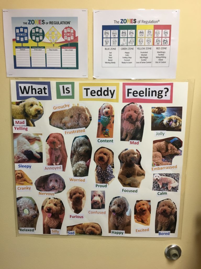 therapy dogs of Vermont