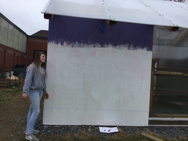 Crossett Brook mural
