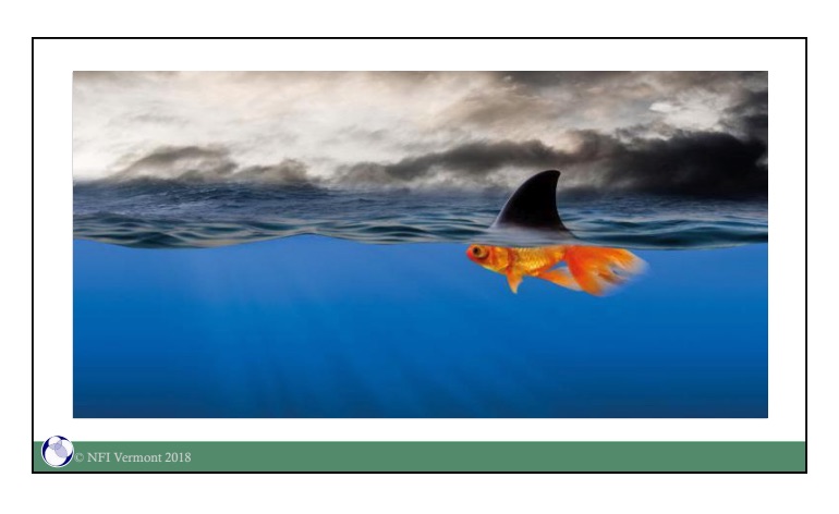 Dave Melnick's goldfish