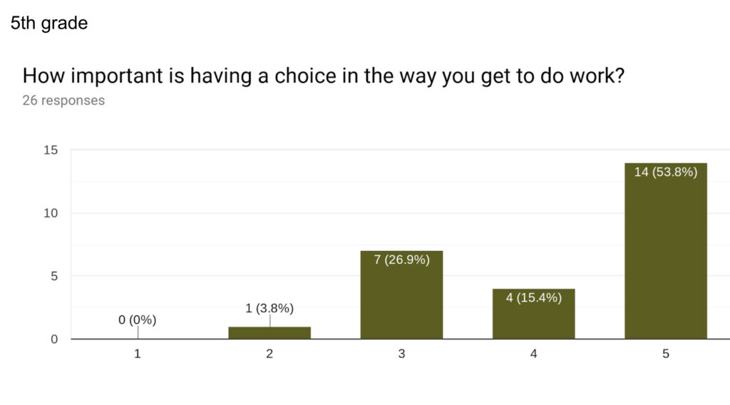 "How important is having a choice in the way you get to do work?" 53.8% scored it highly important.