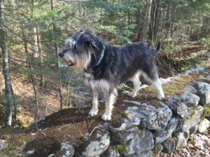 Charlie ponders protocols for equity