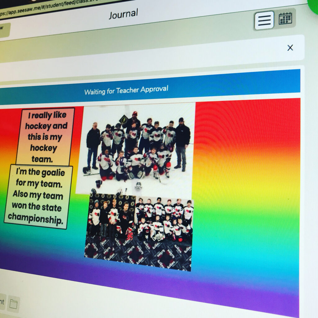 PLPs in Seesaw