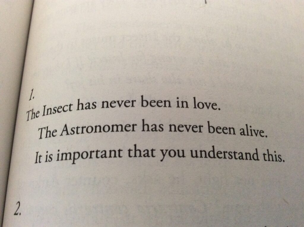 "The Insect and the Astronomer", by Kelly Barnhill. From Dreadful Young Ladies and Other Stories