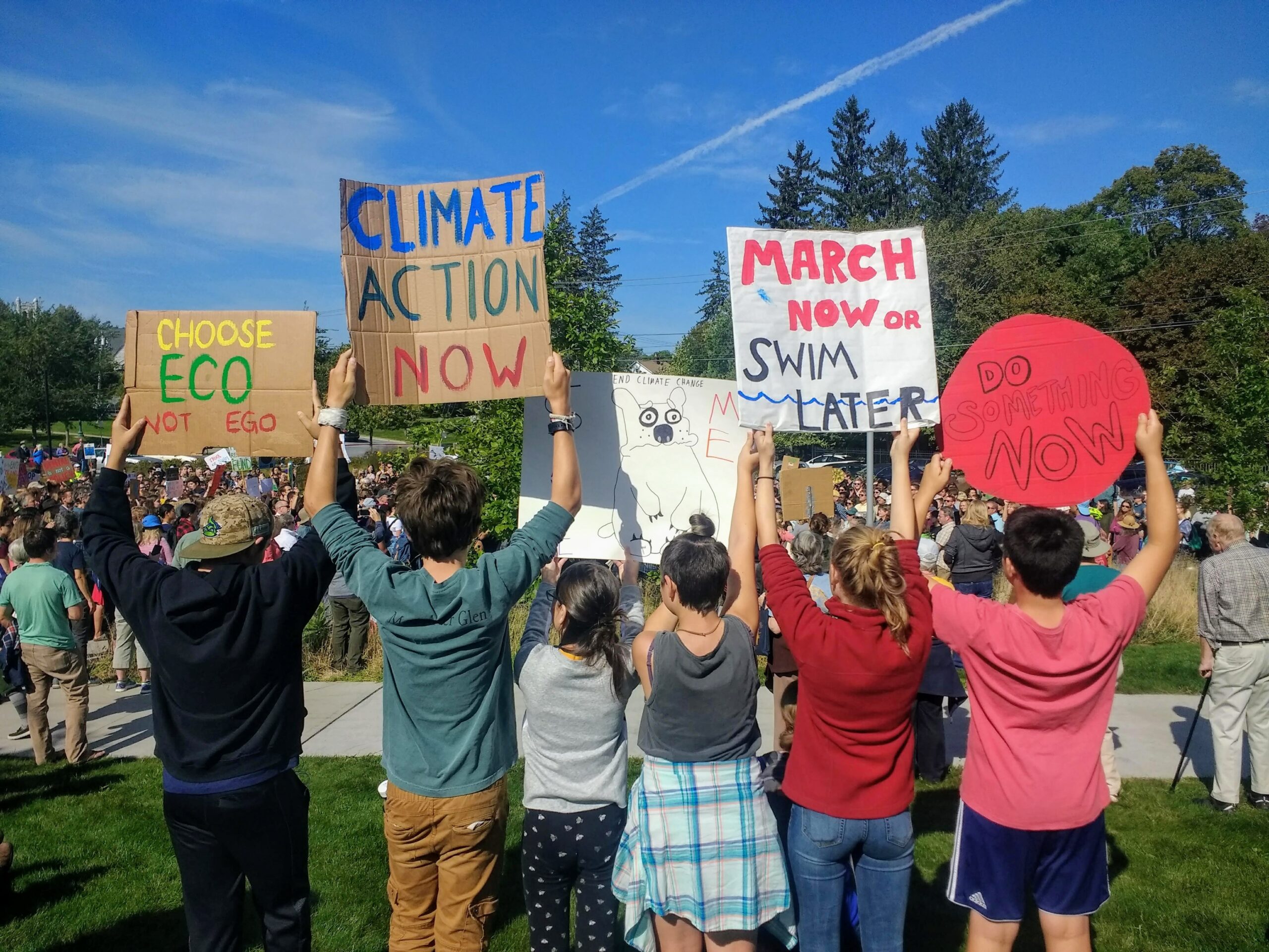 students at the Middlebury Youth Climate Strike hold up homemade signs