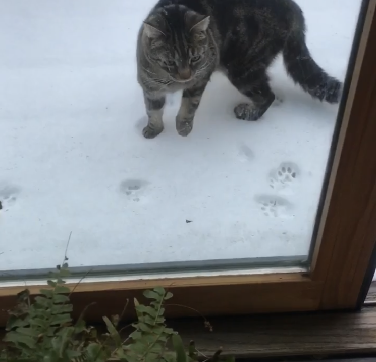 top 10 ways to spend your snow day