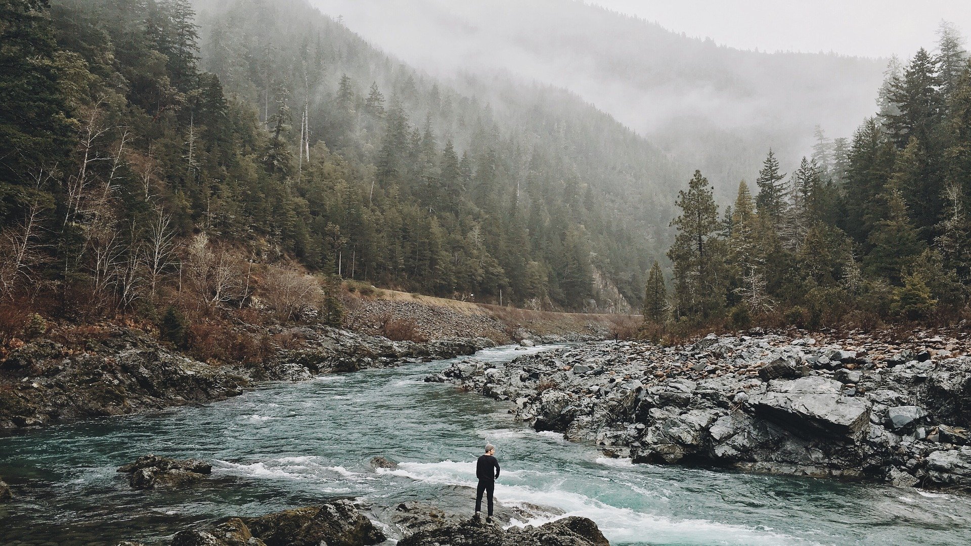 emotional resilience