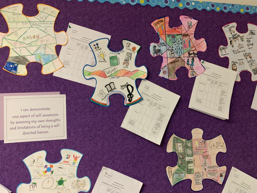 Self-direction self assessments