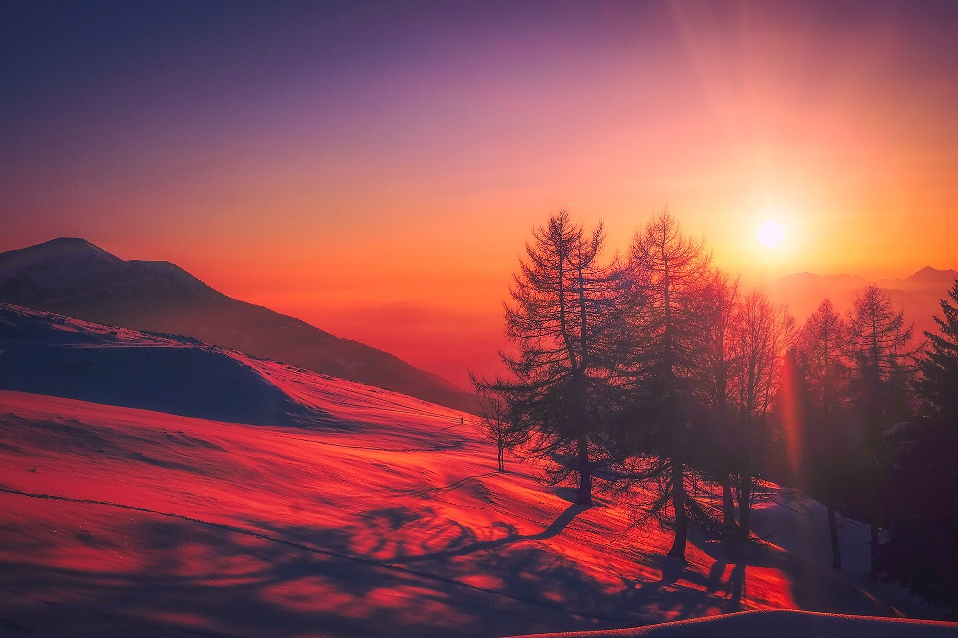 winter greetings