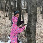 Tapping Trees
