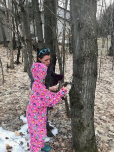 Tapping Trees