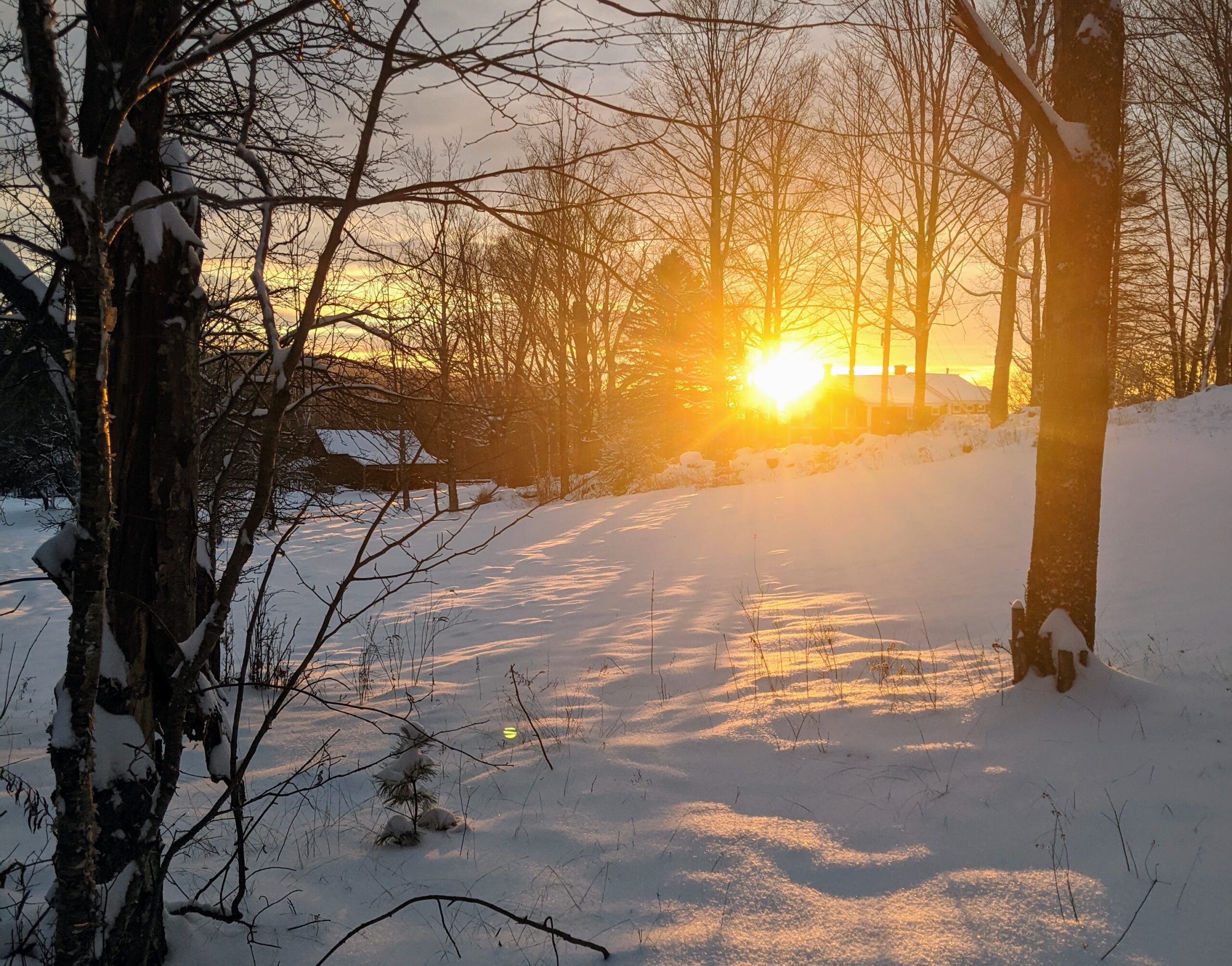 return routines: "The Return of the Light", by Emily Hoyler. All photo rights reserved.