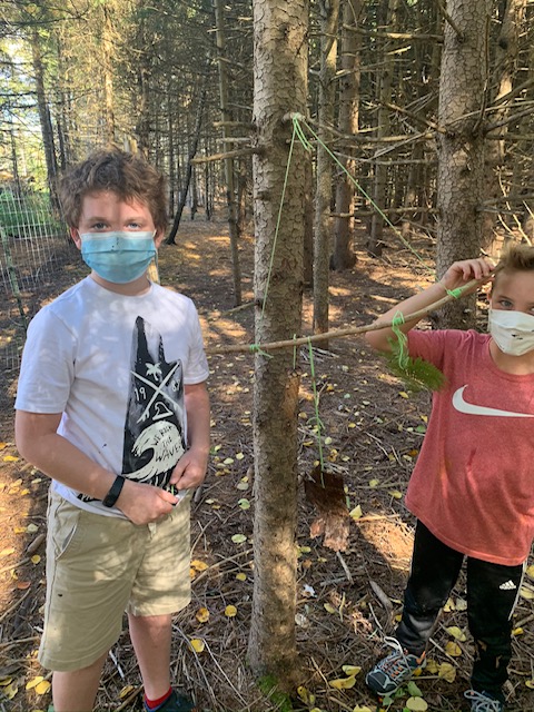 Margaret Dunne forest newsletter