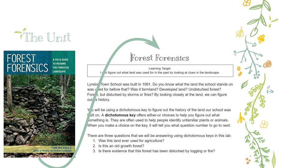 ecology in middle school