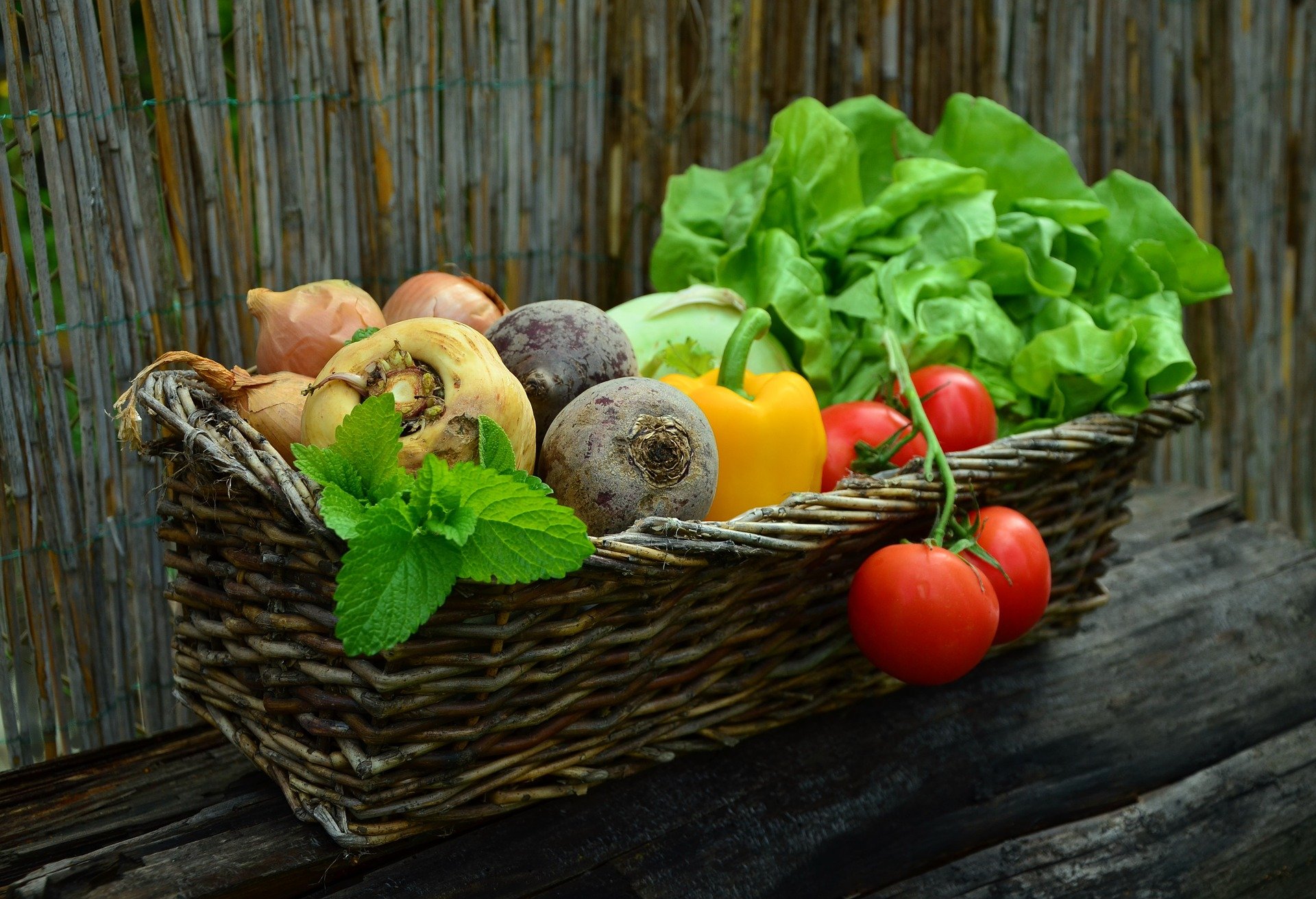 Basket of fresh vegetables: tomatoes, beets, turnips, onions