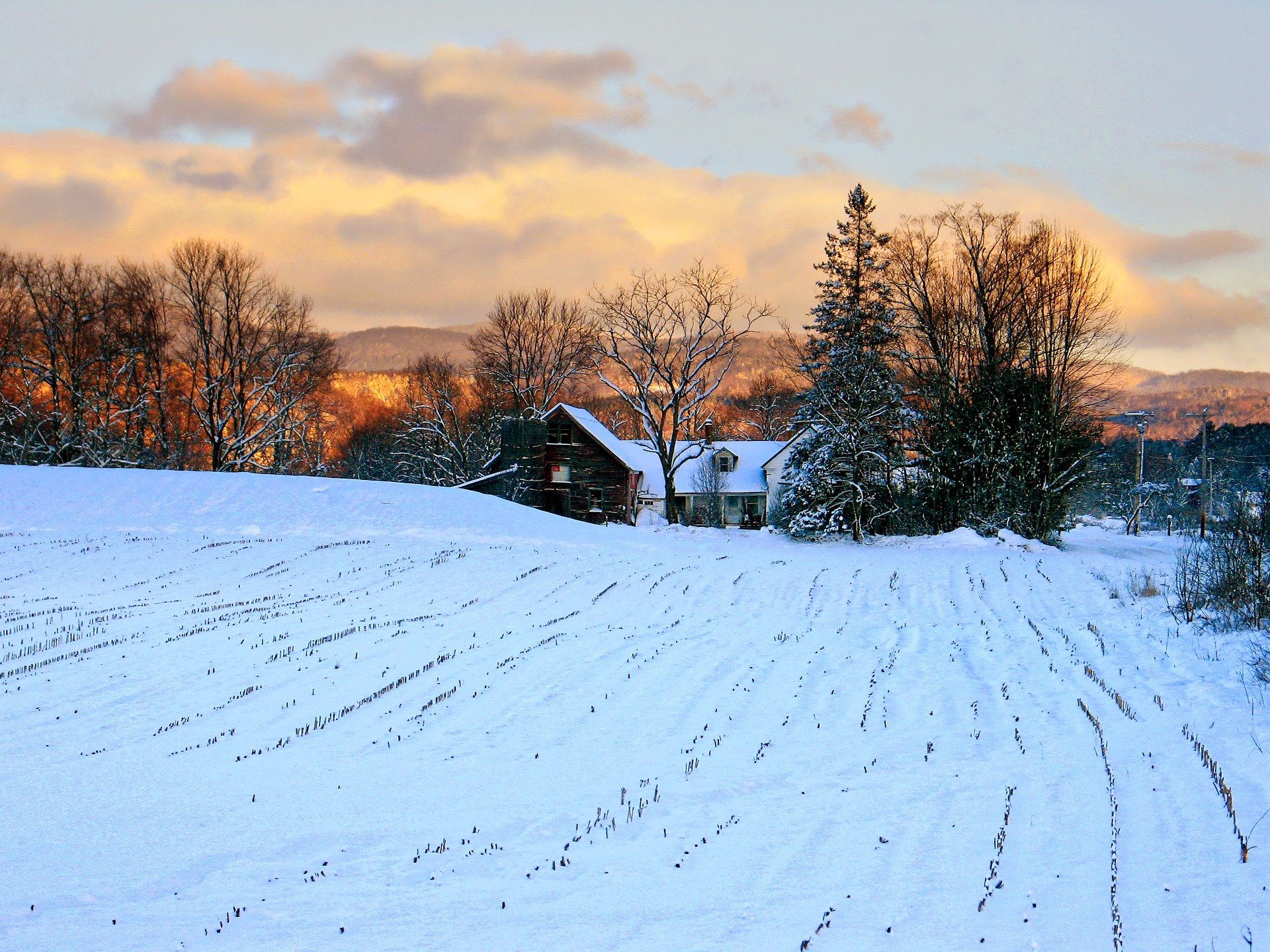 Vermont virtual academies
