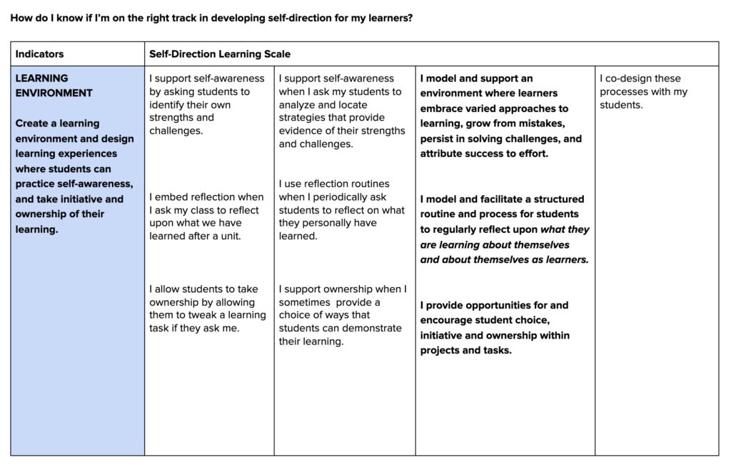 self-direction learning scale