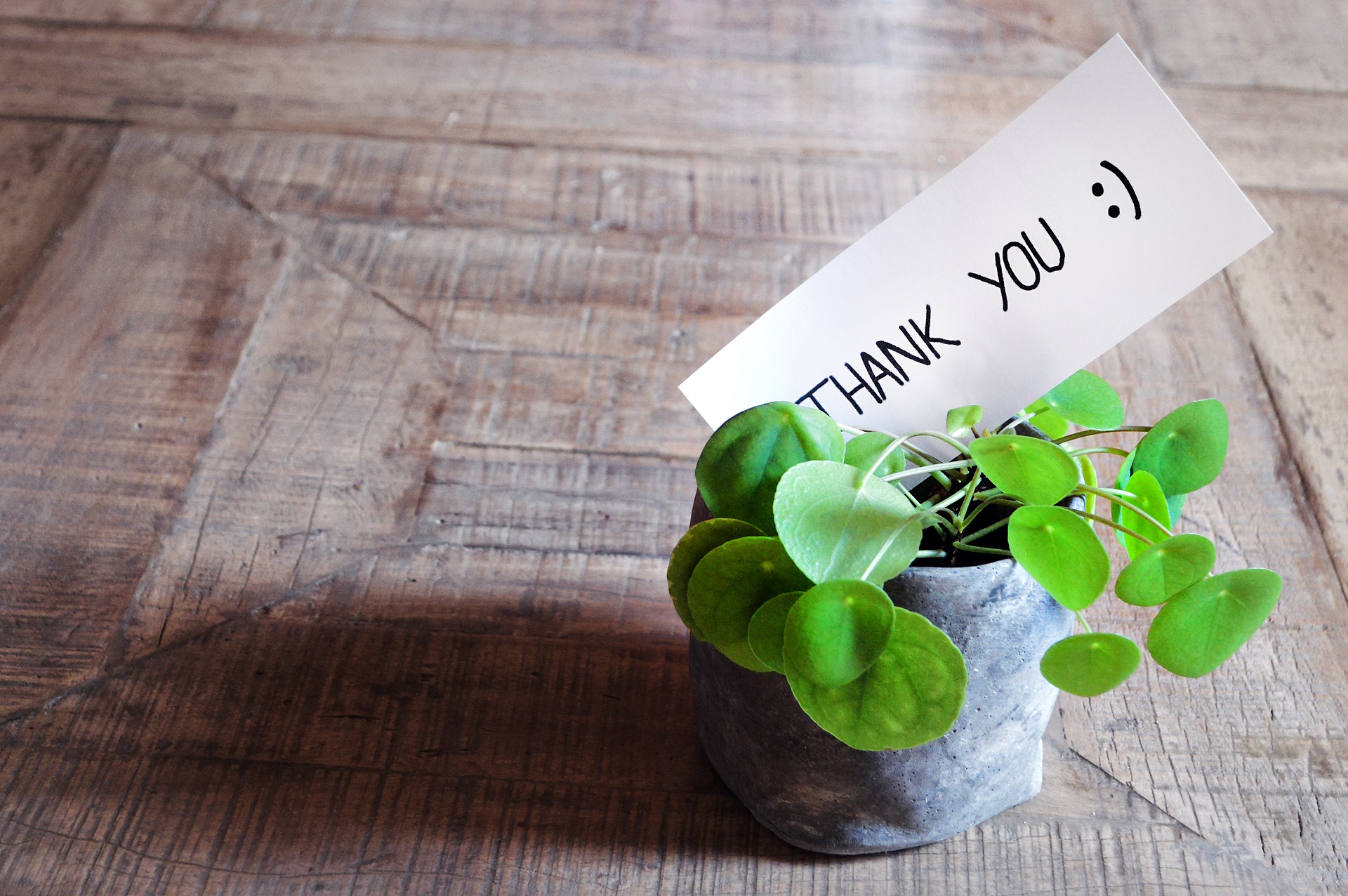 Teacher Appreciation Week