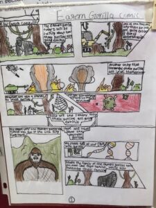 Gallery of student work