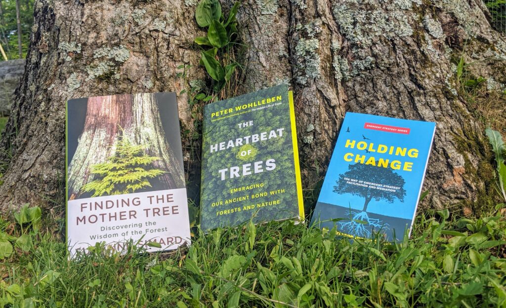 3 books leaning up against a tree