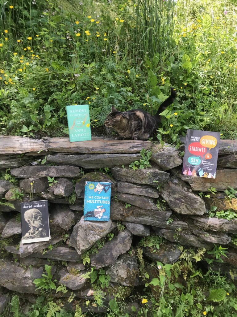 books scattered decoratively about a rockpile, with cat