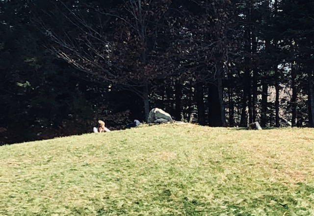 A grassy hill