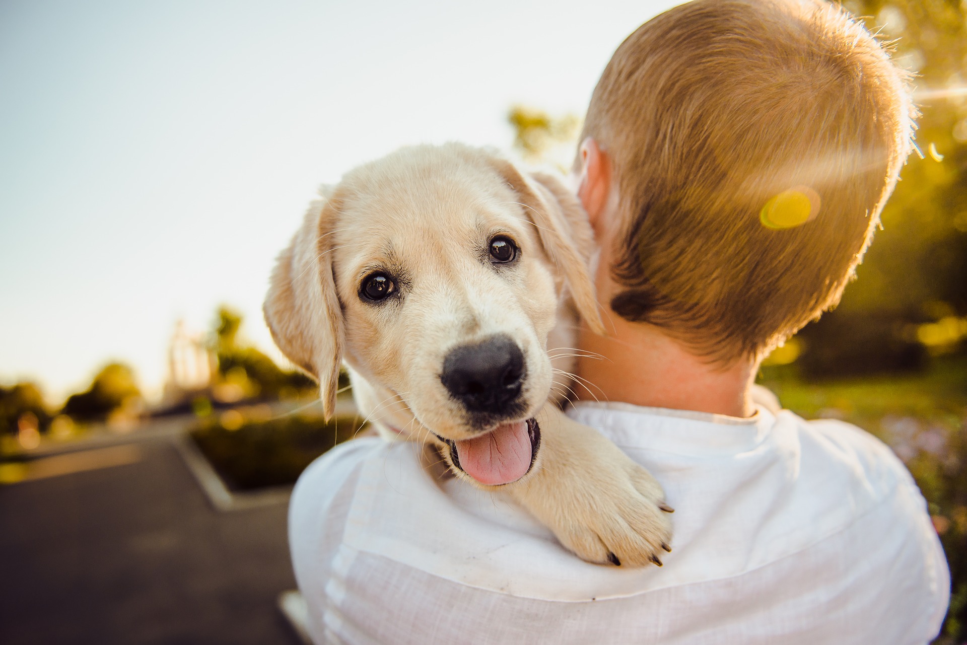 A teenage boy holds a golden retriever puppy