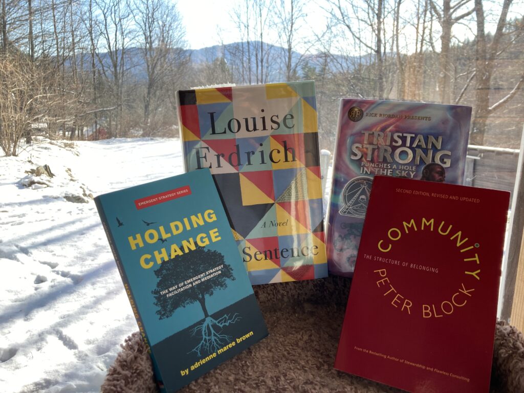 Four books arranged on a rug in snow