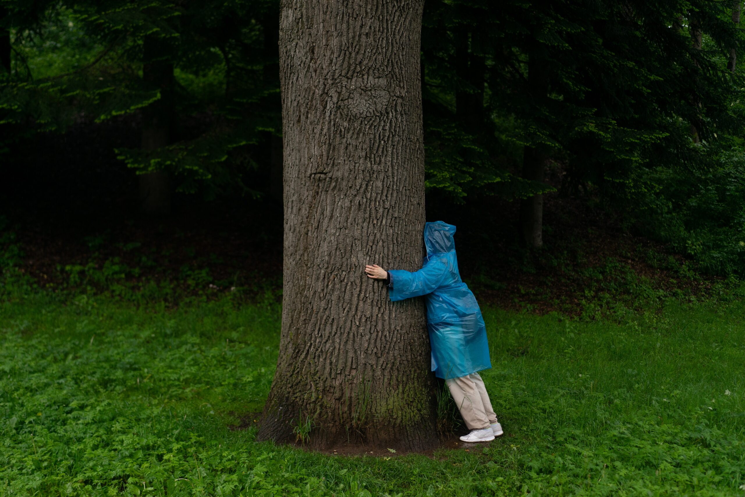 A student in raingear hugs a tree